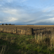 Near Goroke, Victoria.